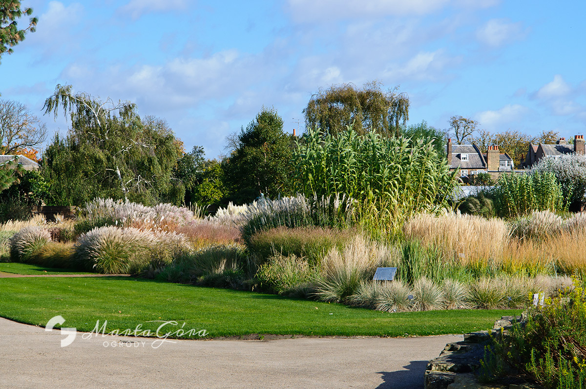 Kew Gardens - Grass Garden