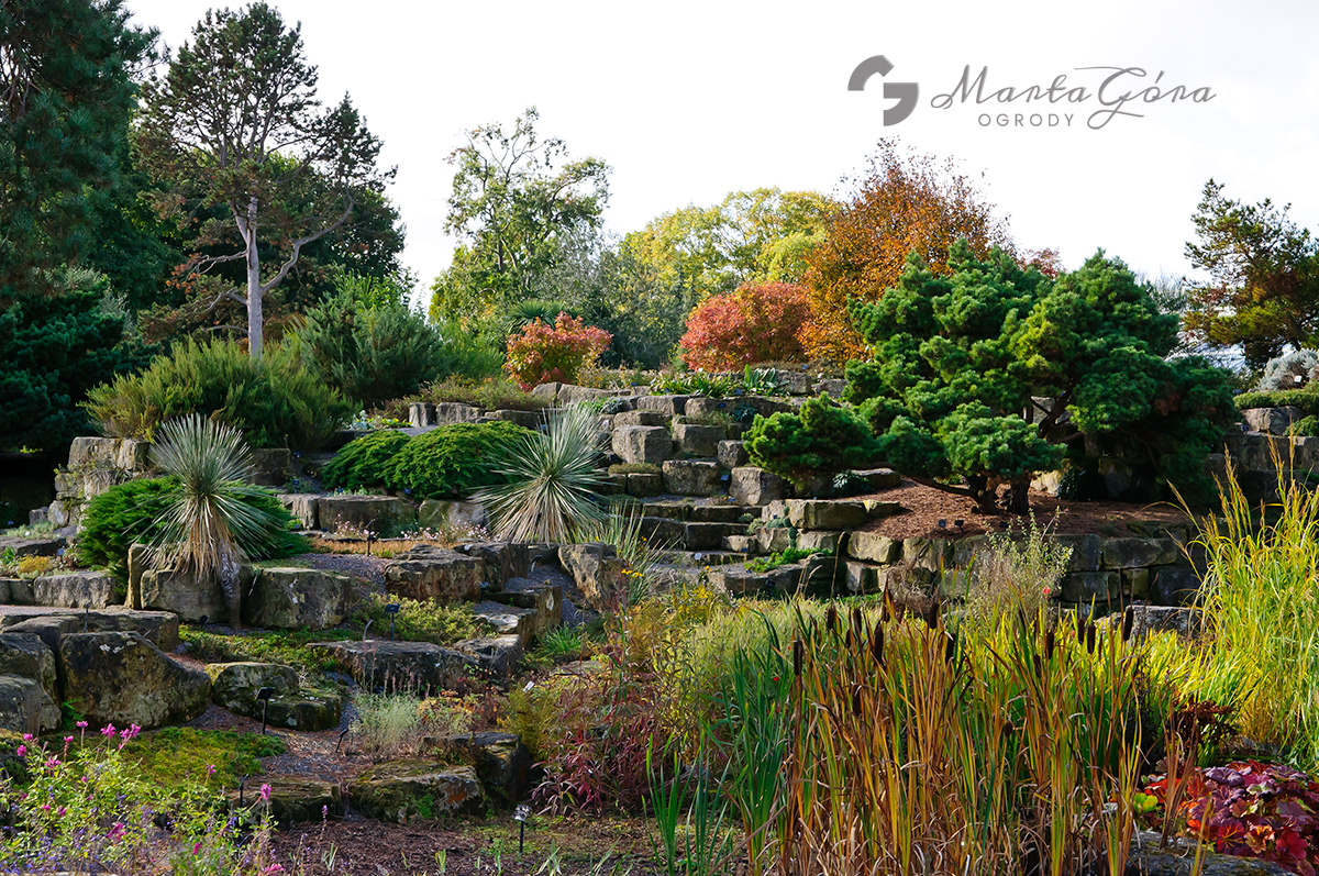 Ogród skalny - Kew Gardens.