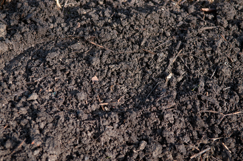 Uprawa gleby
